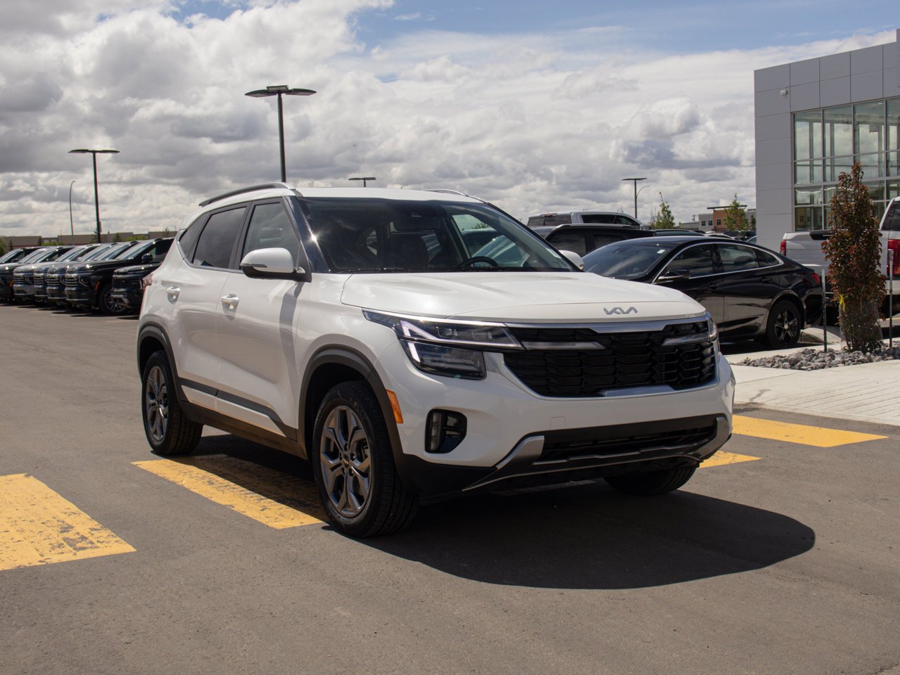 2025 Kia Seltos EX AWD White Sherwood Park - photo #11