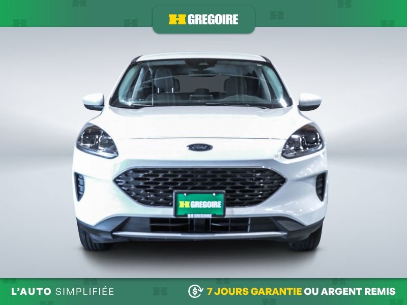 2021 Ford Escape 2021 White