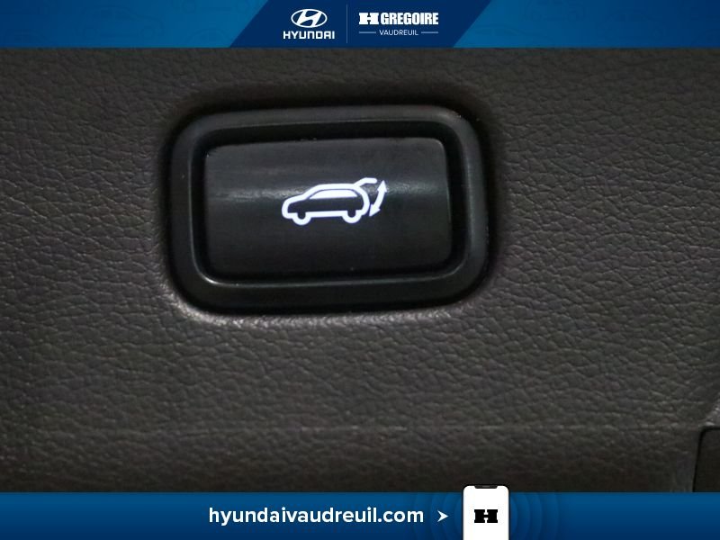 Hyundai Palisade 2023 Blanc Laval - photo #41