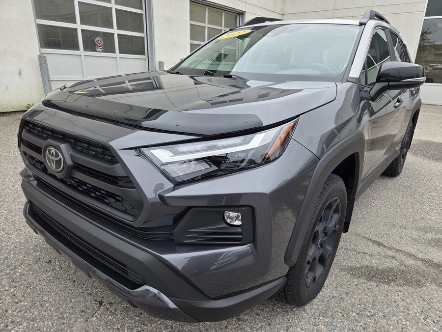 Toyota RAV4 2022 2022 Gris