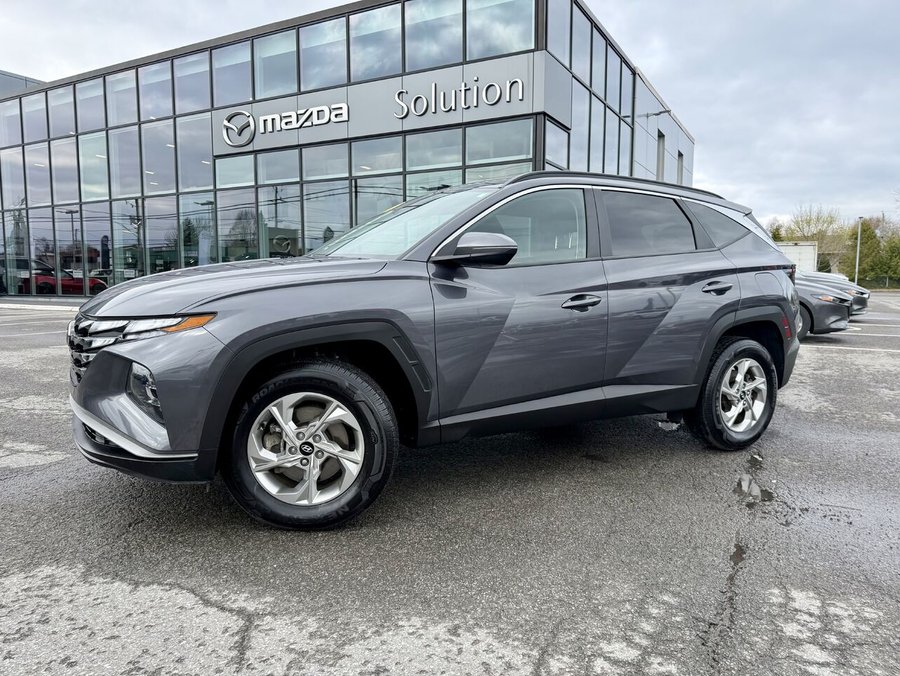 HYUNDAI TUCSON 2024 2024 Gris