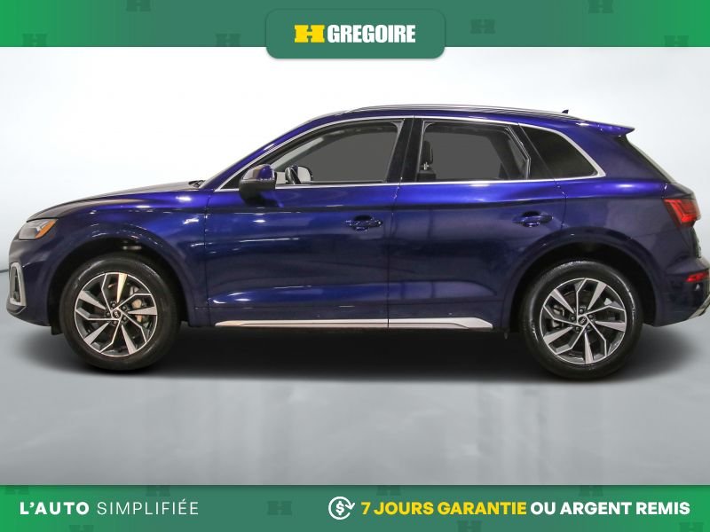 2023 Audi Q5 2023 Blue