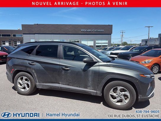 Hyundai Tucson 2022 2022 Gris