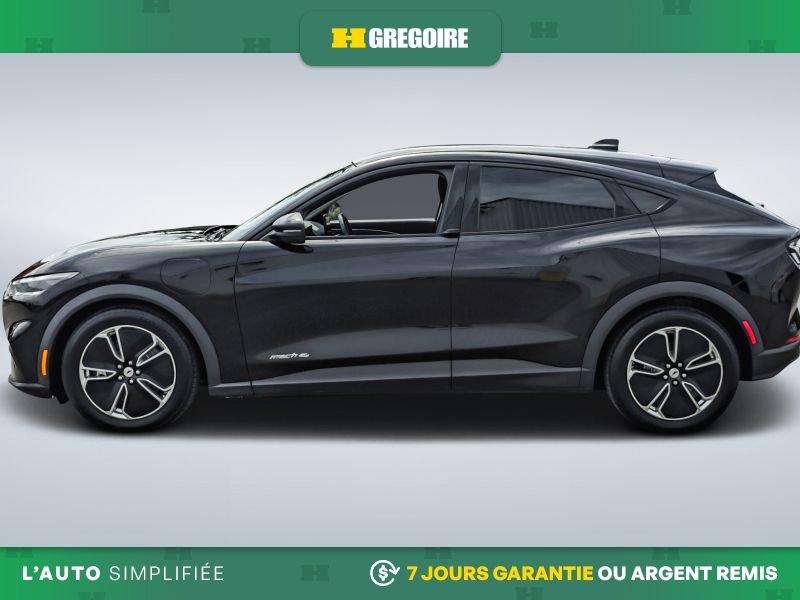 2021 Ford Mustang Mach-E Black Laval - photo #4