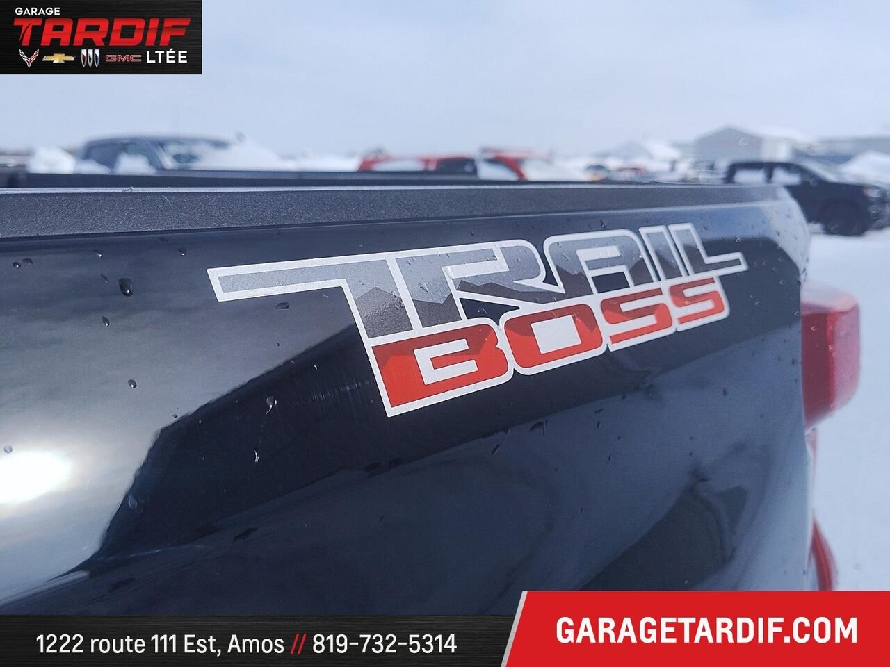CHEVROLET Silverado 1500 92557A 2025 Noir Amos - photo #7