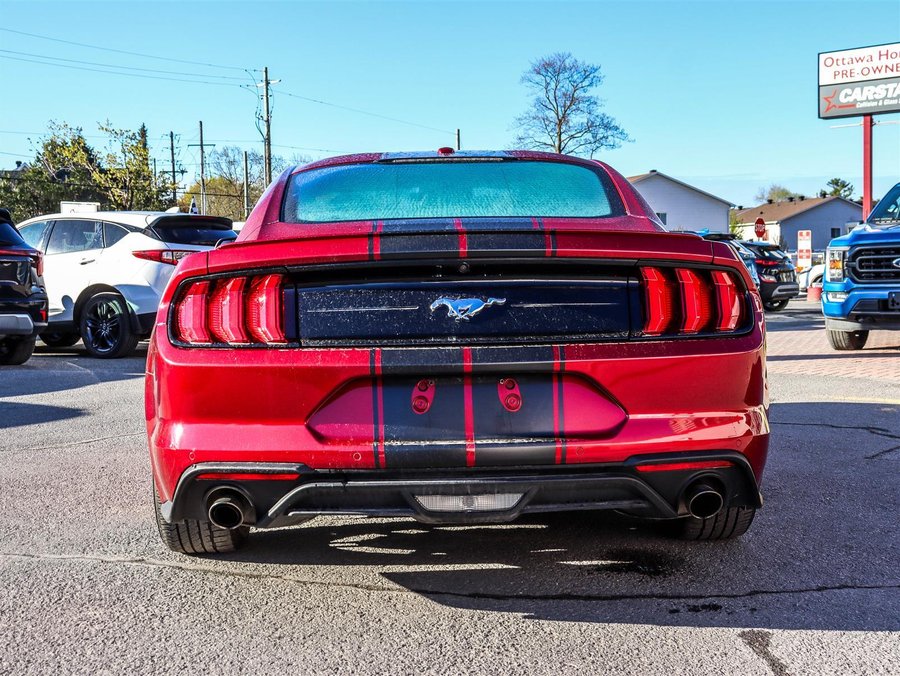 2019 Ford Mustang 2019