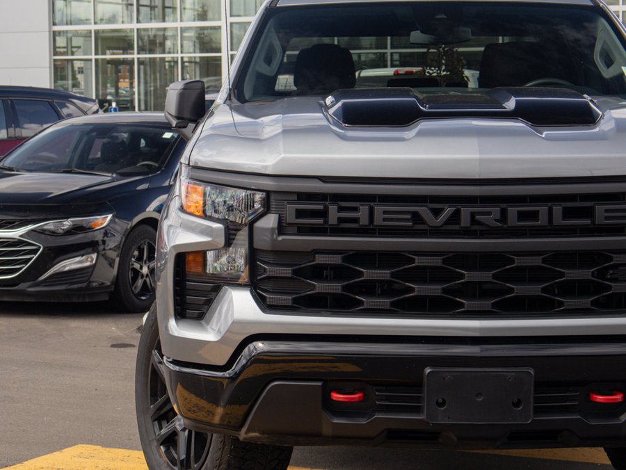 2024 Chevrolet Silverado 1500 2024 Grey