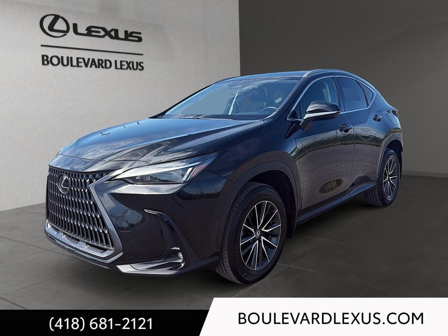 Lexus NX 2024 2024 Noir