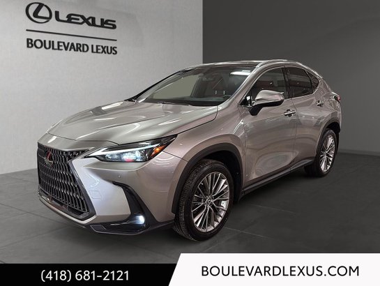 Lexus NX 2022 2022 Argent