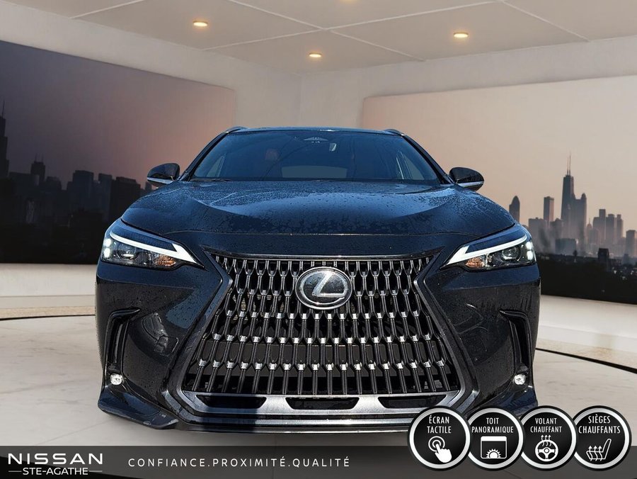 Lexus NX 2025 2025 Vert