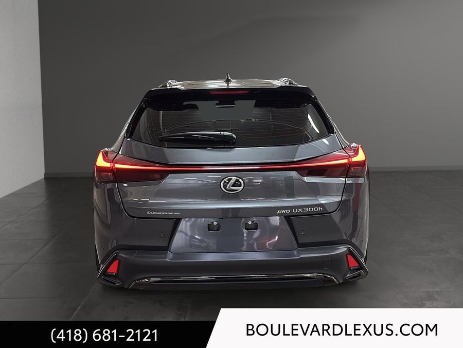 Lexus UX 2025 2025 Gris