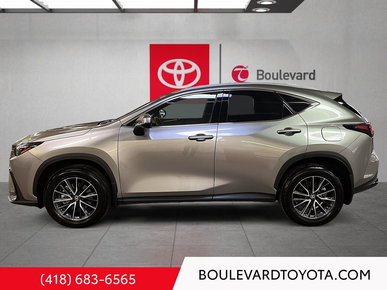 Lexus NX 531799-147 | NX 350 TI 2024 Argent Québec - photo #5