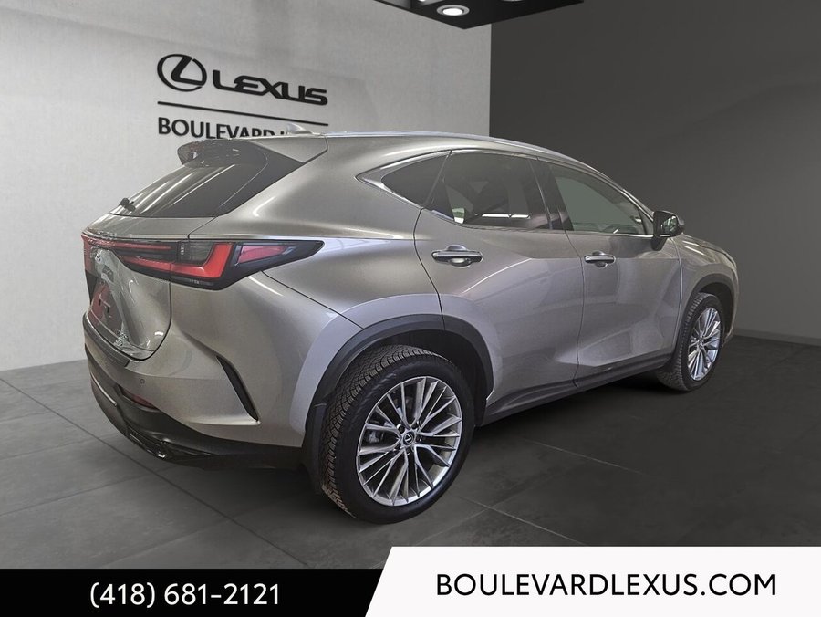 Lexus NX 2024 2024 Argent