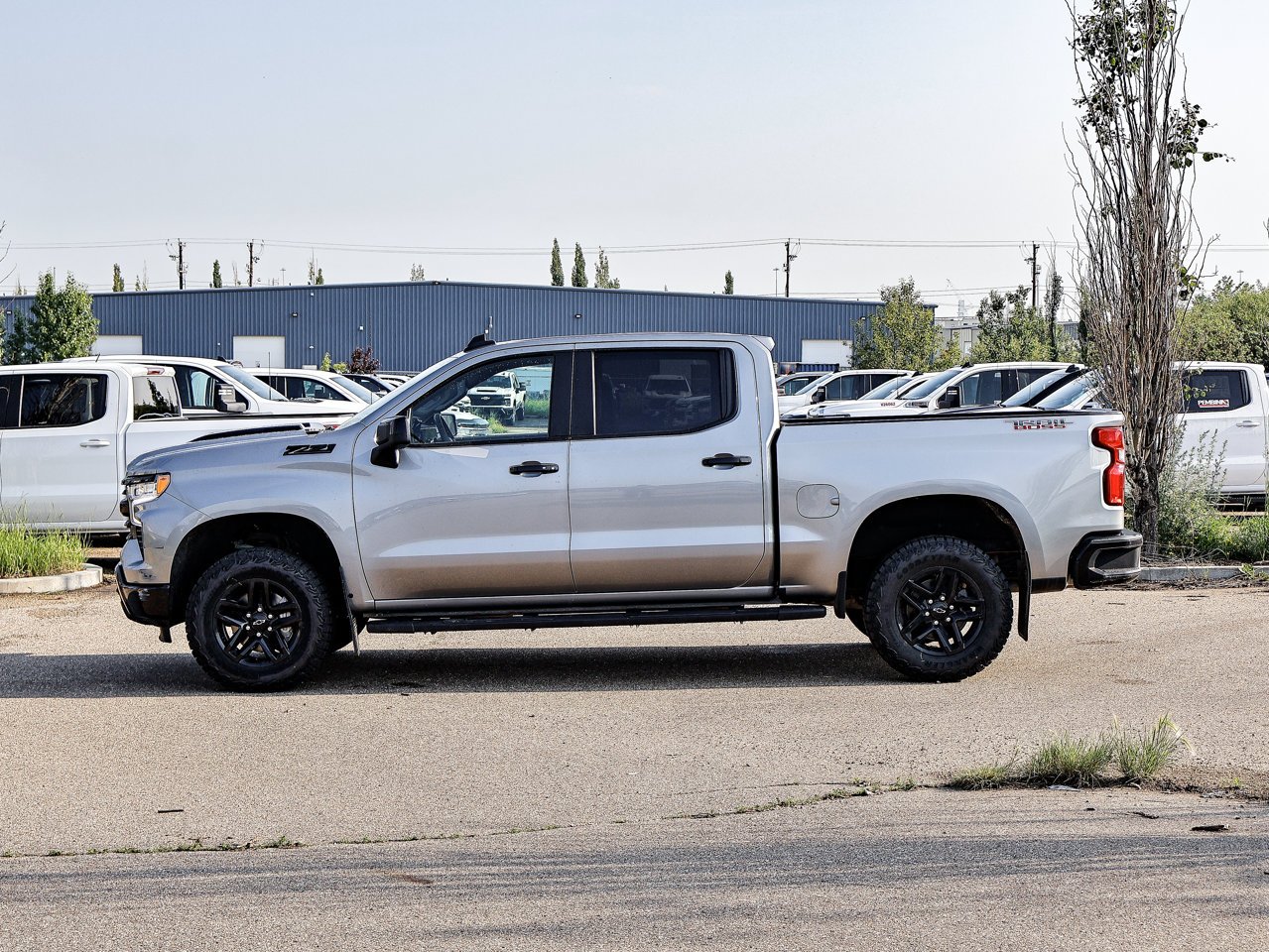 2024 Chevrolet Silverado 1500 4WD Crew Cab 147 LT Trail Boss Grey Sherwood Park - photo #9