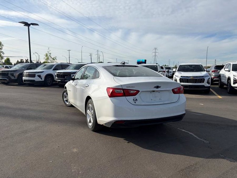 2023 Chevrolet Malibu 2023 White