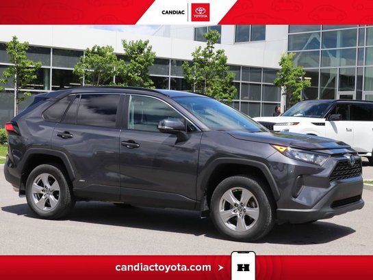 Toyota Rav 4 2022 2022 Gris