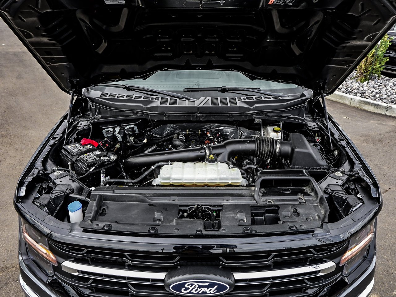 2025 Ford F-150 XLT 4WD SuperCrew 5.5' Box Grey Sherwood Park - photo #8