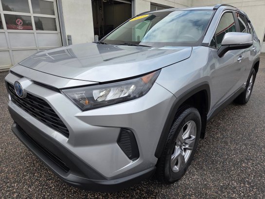Toyota RAV4 2023 2023 Gris