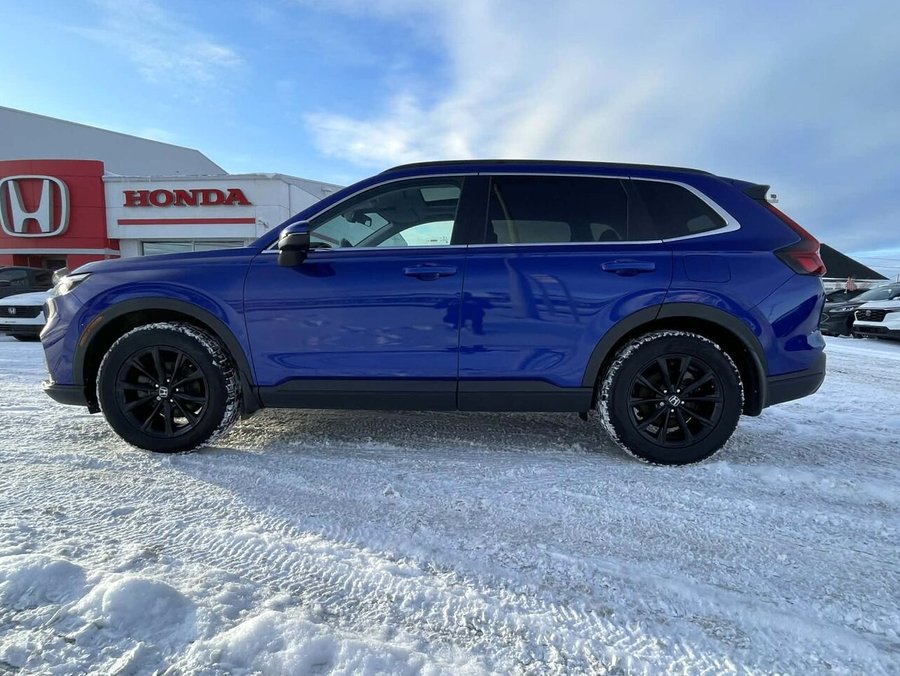 Honda CR-V 2023 2023 Bleu