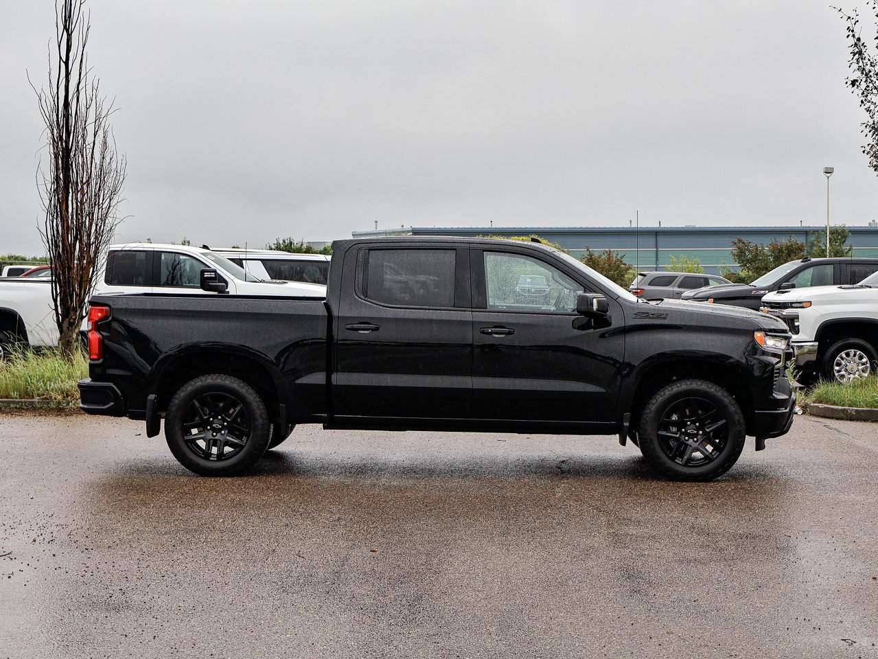 2024 Chevrolet Silverado 1500 4WD Crew Cab 147 RST Black Sherwood Park - photo #13