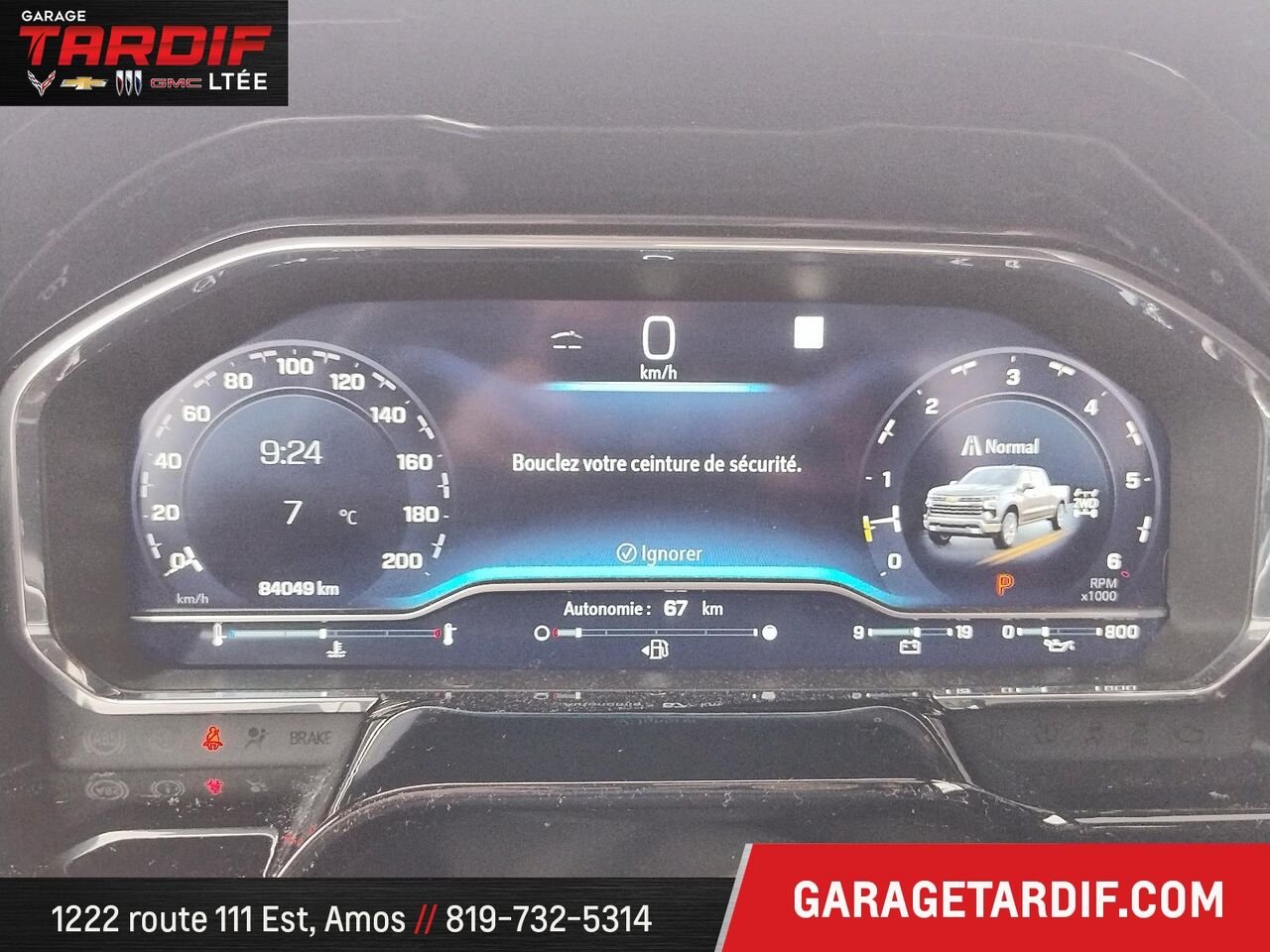 2022 Chevrolet Silverado 1500 Beige Amos - photo #15
