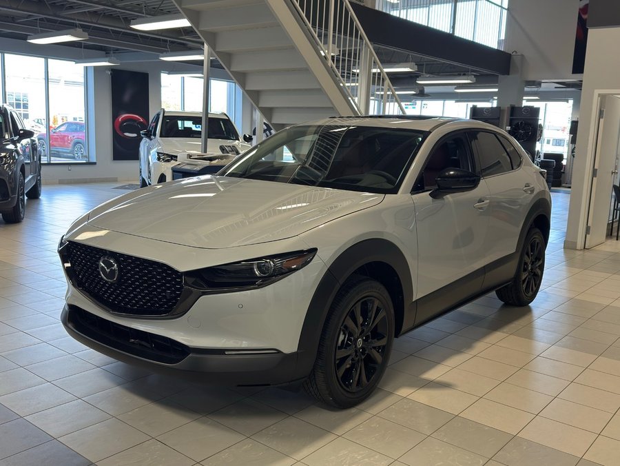 MAZDA CX-30 2025 2025 Céramique métallisé