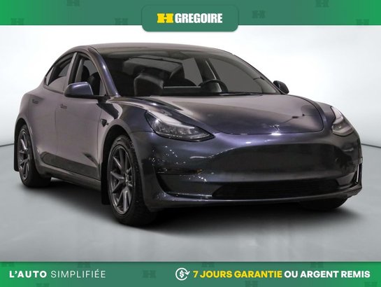 2021 Tesla Model 3 2021 Grey