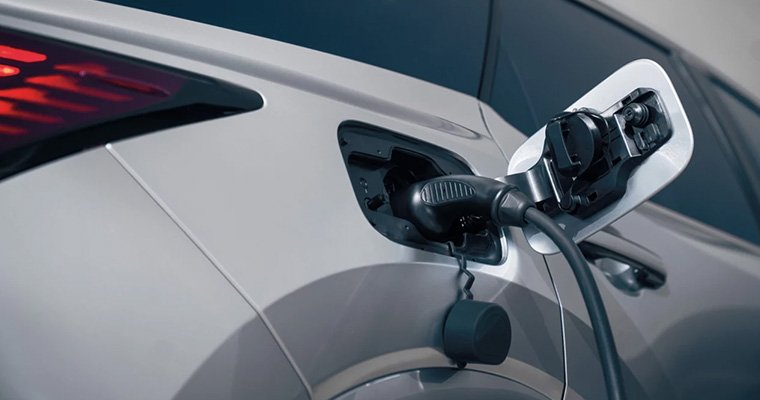 Integer vel congue ipsum