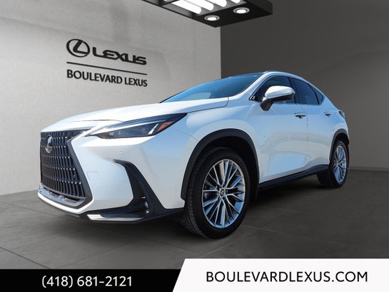 Lexus NX 2024 2024 Blanc