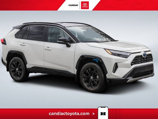 Toyota Rav 4 2022 2022 Blanc
