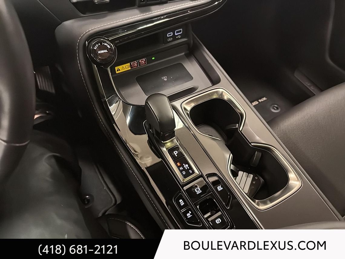 2024 Lexus NX Grey Quebec - photo #38