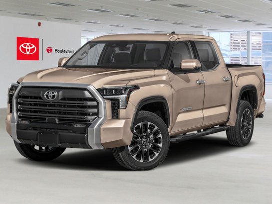 TOYOTA Tundra 2026 2026 Bain de boue