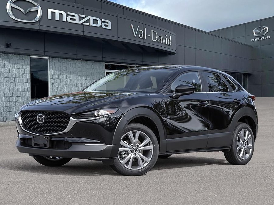 2025 Mazda CX-30 2025 Jet Black Mica