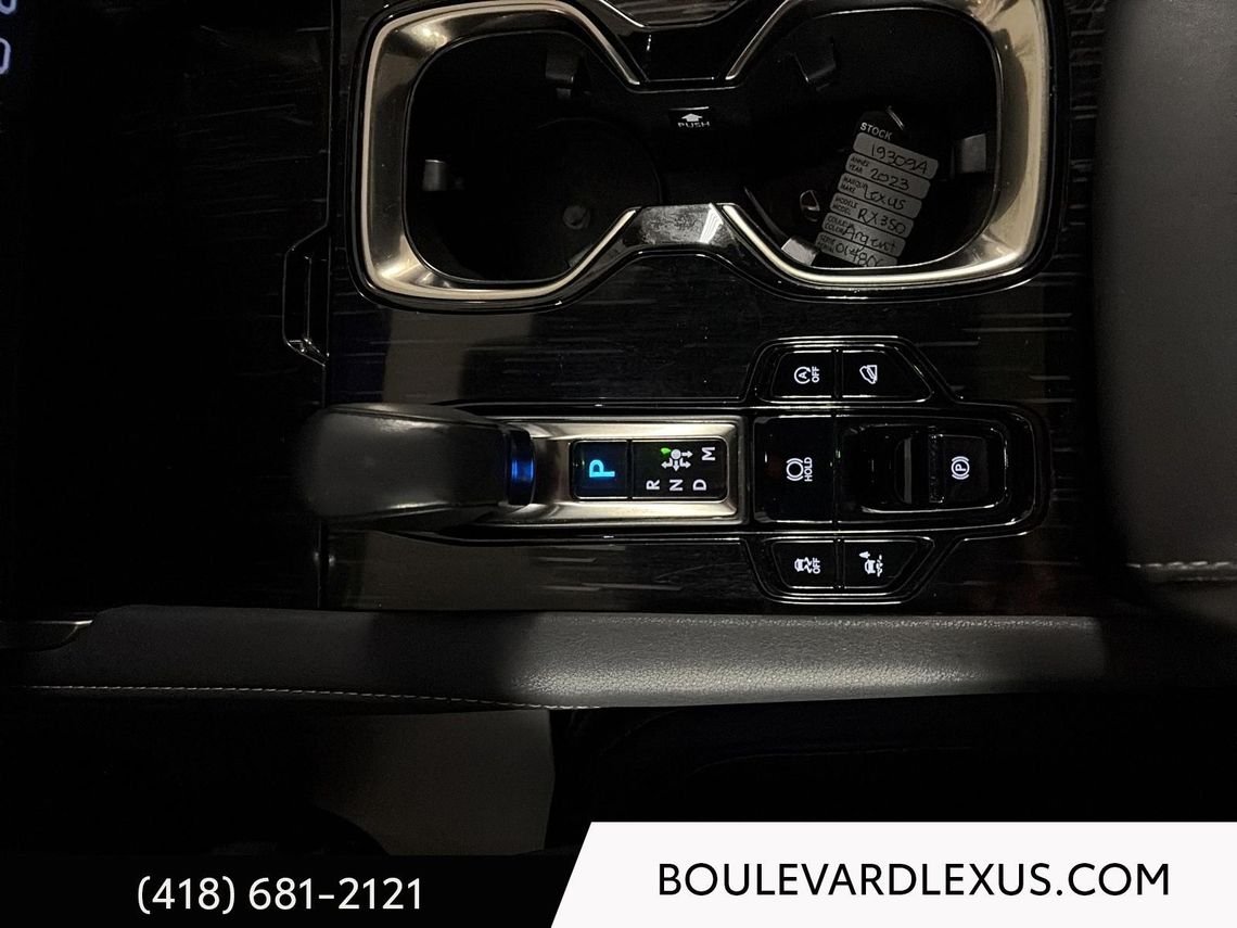 2023 Lexus RX Grey Quebec - photo #38