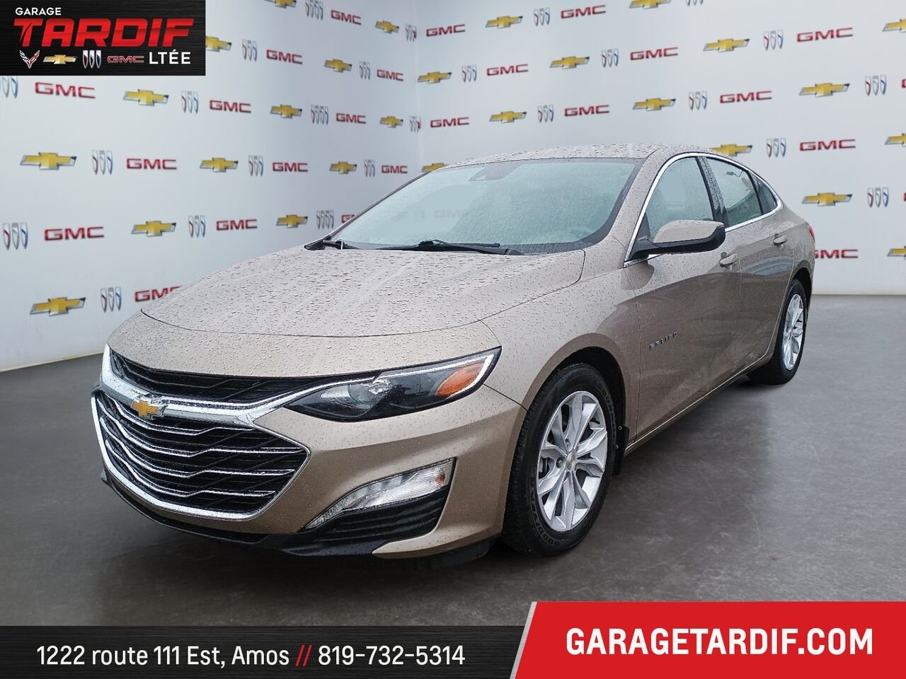 2023 CHEVROLET MALIBU LT Berline 4 portes 1LT Grey Amos - photo #0
