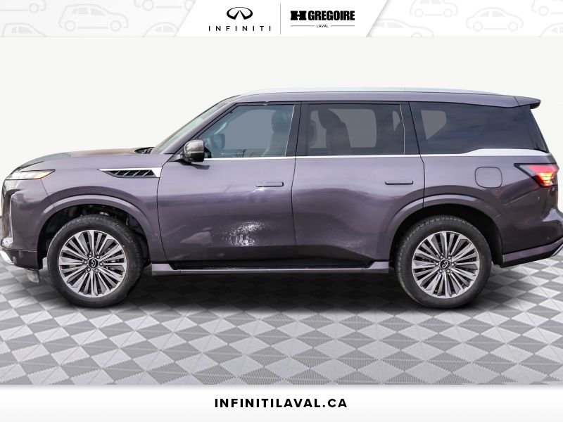 Infiniti QX80 2025 2025